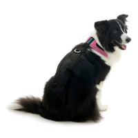 Escape Free Comfort X One