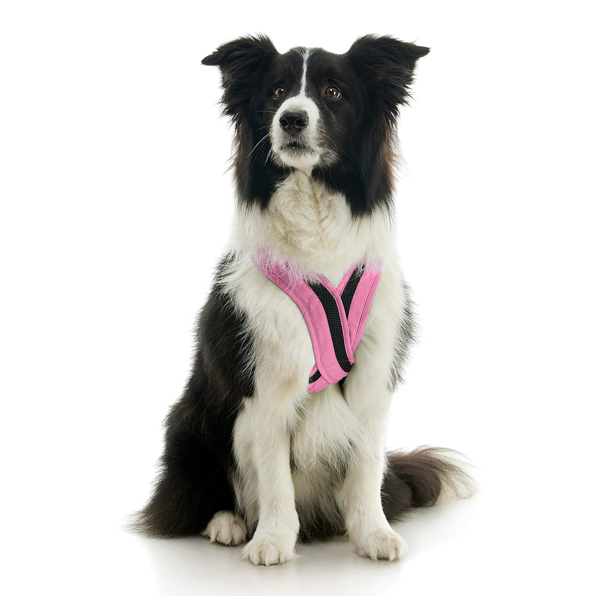 Escape Free Comfort X One