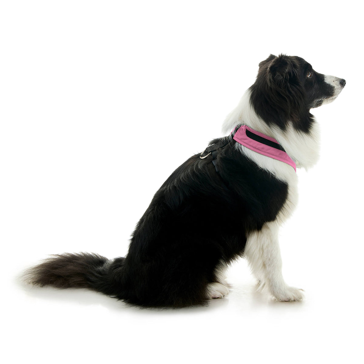 Escape Free Comfort X One