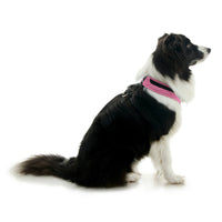 Escape Free Comfort X One