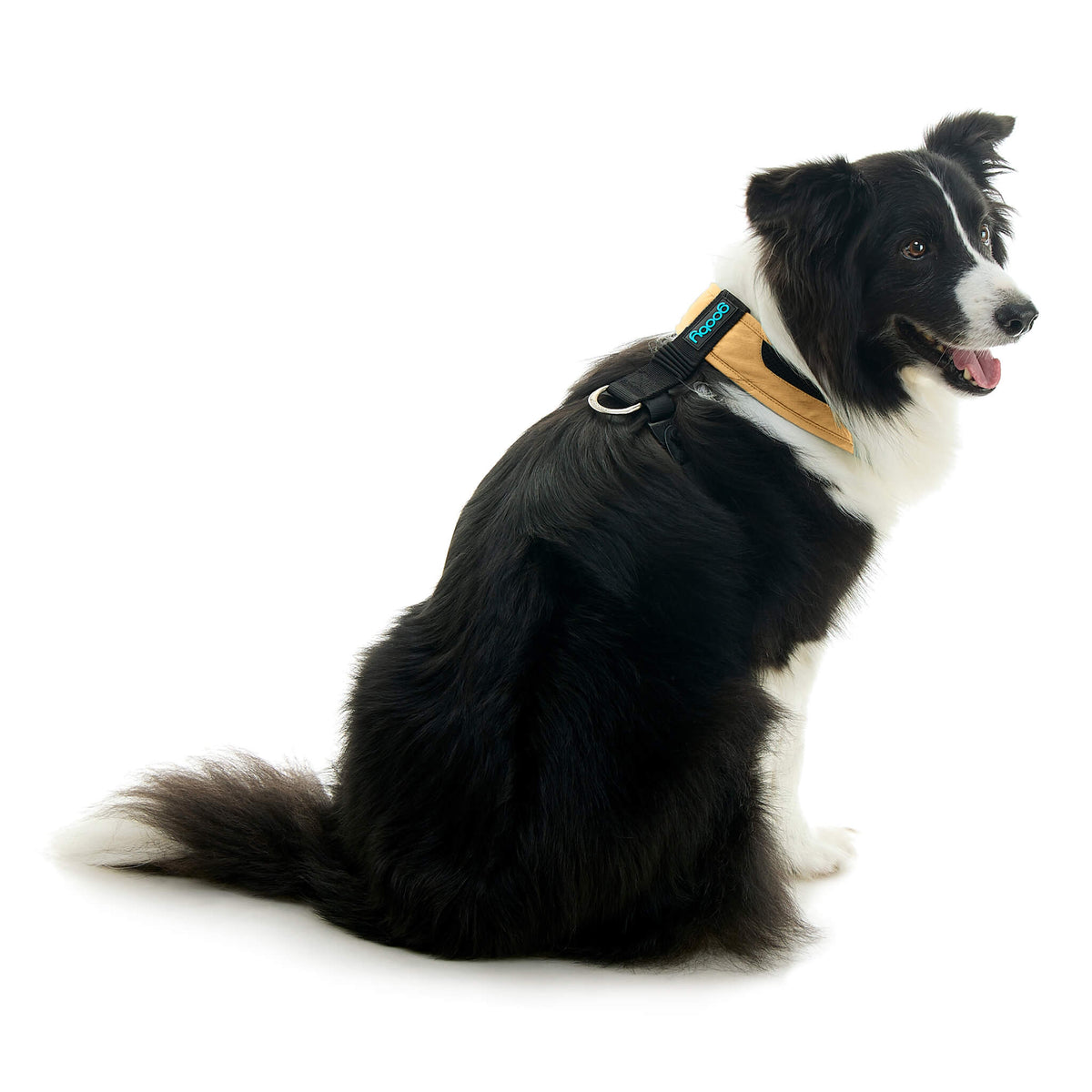 Escape Free Comfort X One