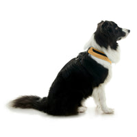 Escape Free Comfort X One