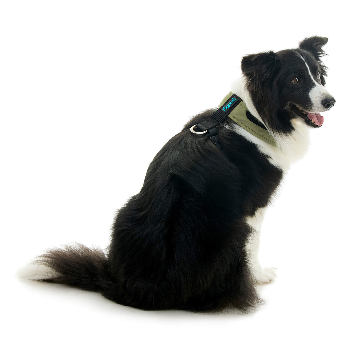 Escape Free Comfort X One