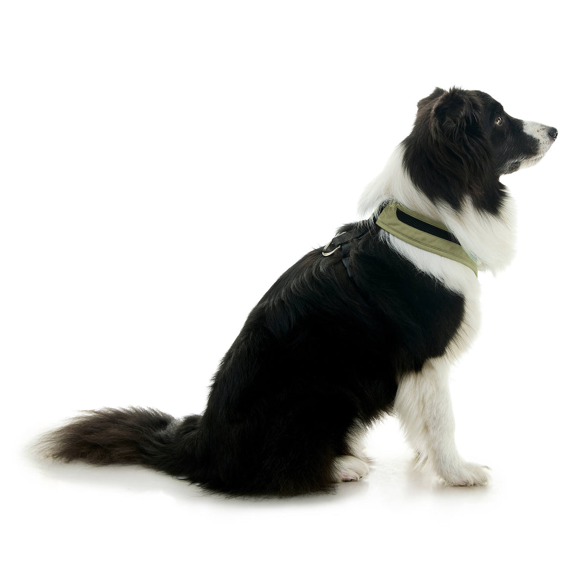 Escape Free Comfort X One