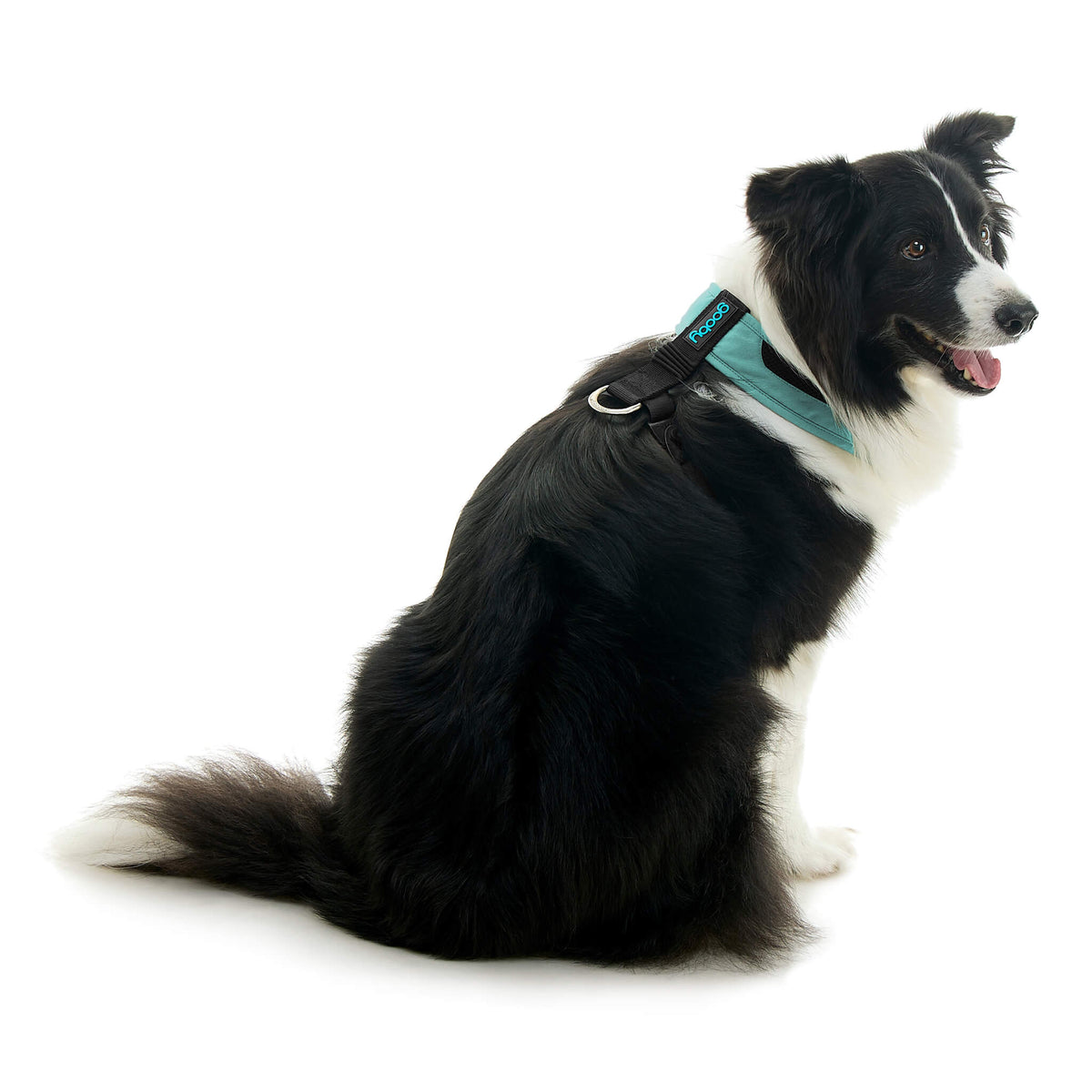 Escape Free Comfort X One