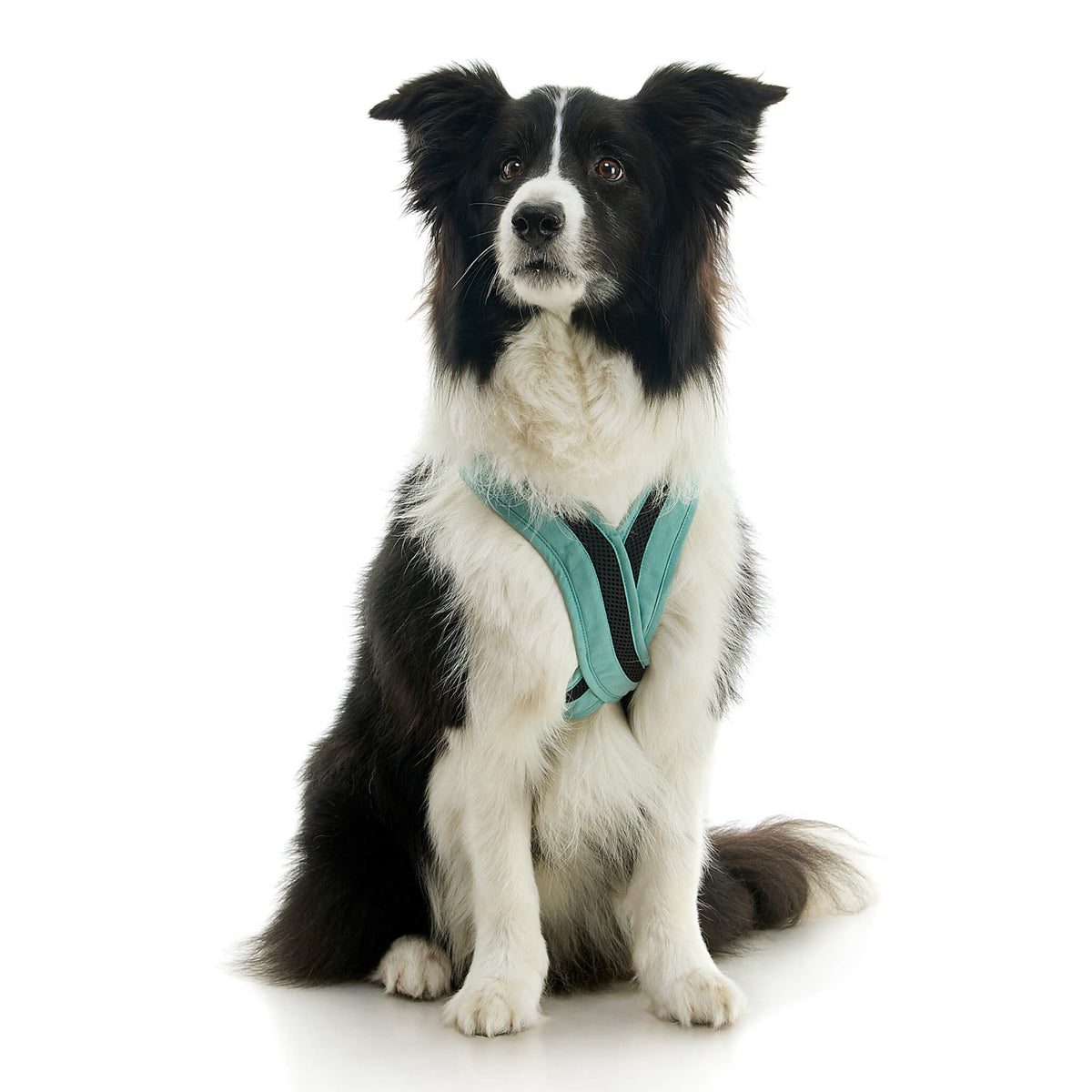 Escape Free Comfort X One