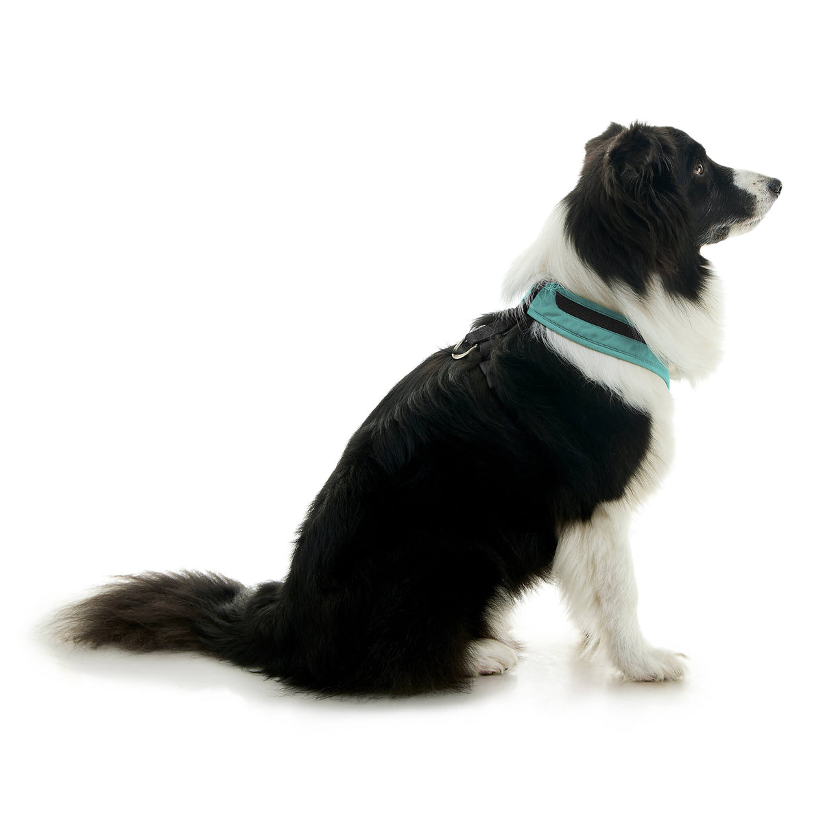 Escape Free Comfort X One