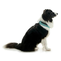 Escape Free Comfort X One