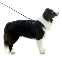 Escape Free Comfort X One