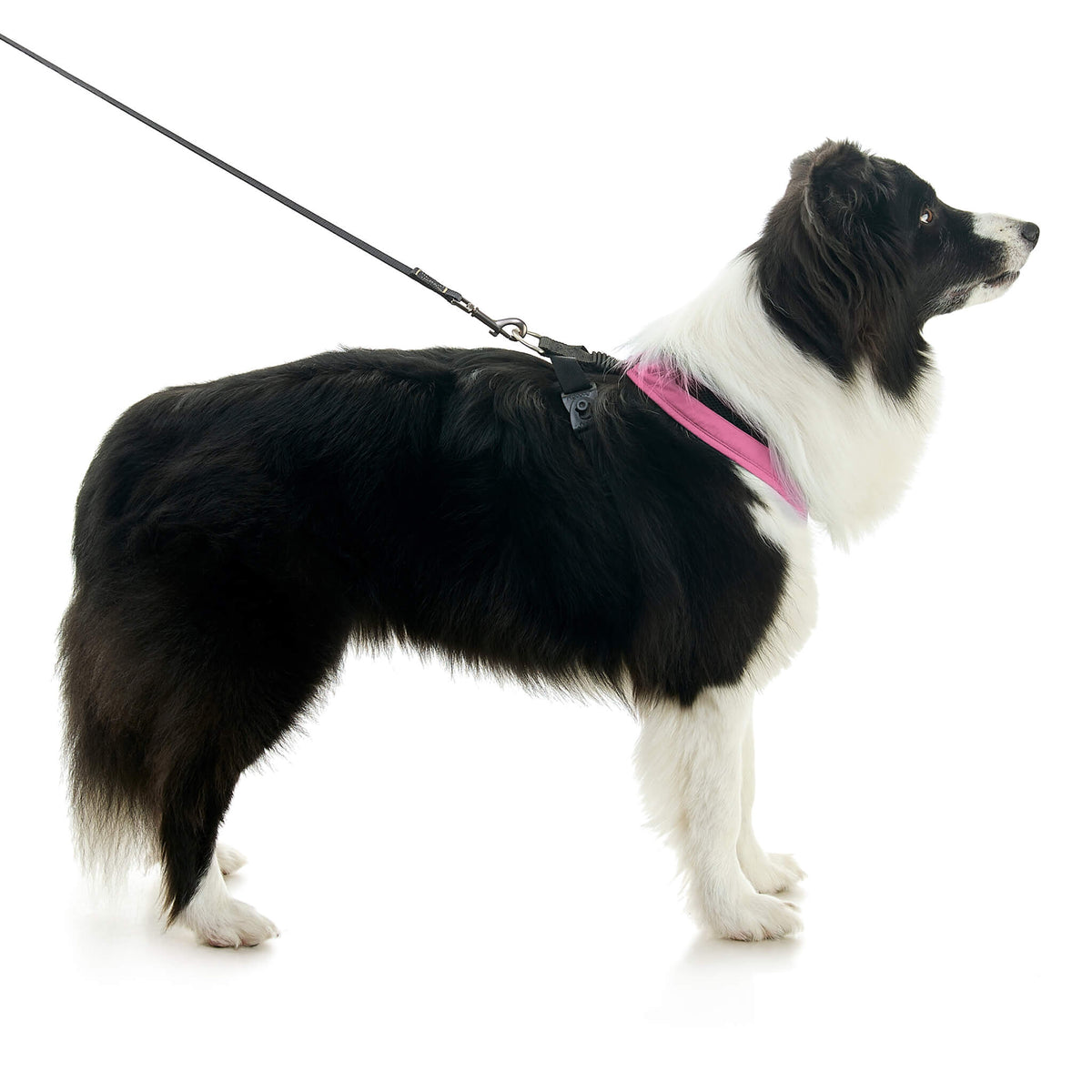 Escape Free Comfort X One