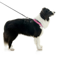 Escape Free Comfort X One