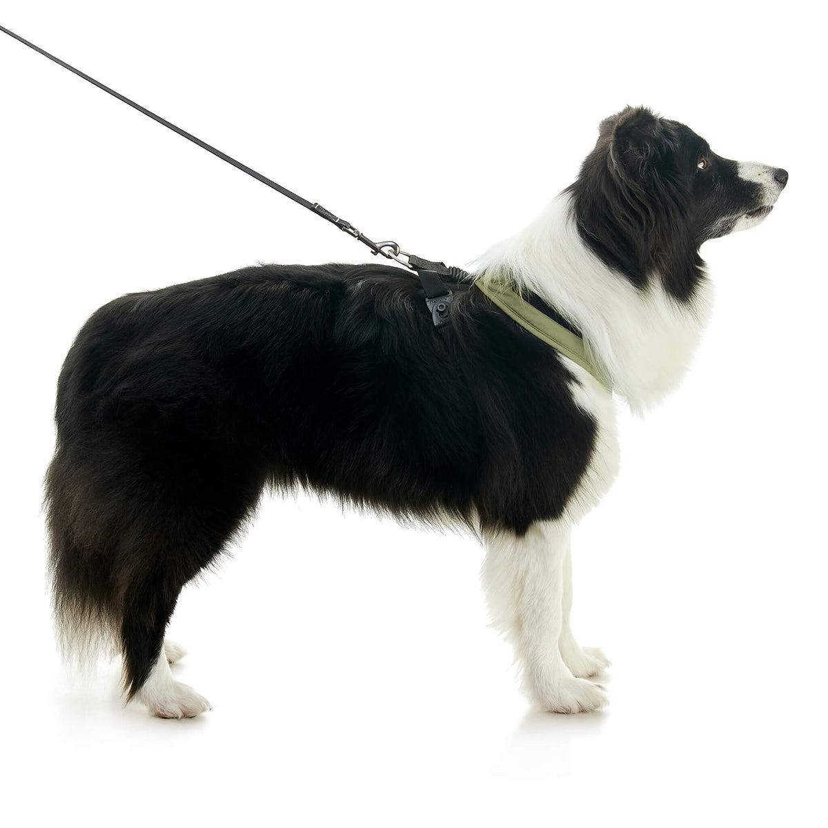 Escape Free Comfort X One