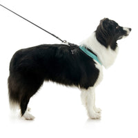 Escape Free Comfort X One