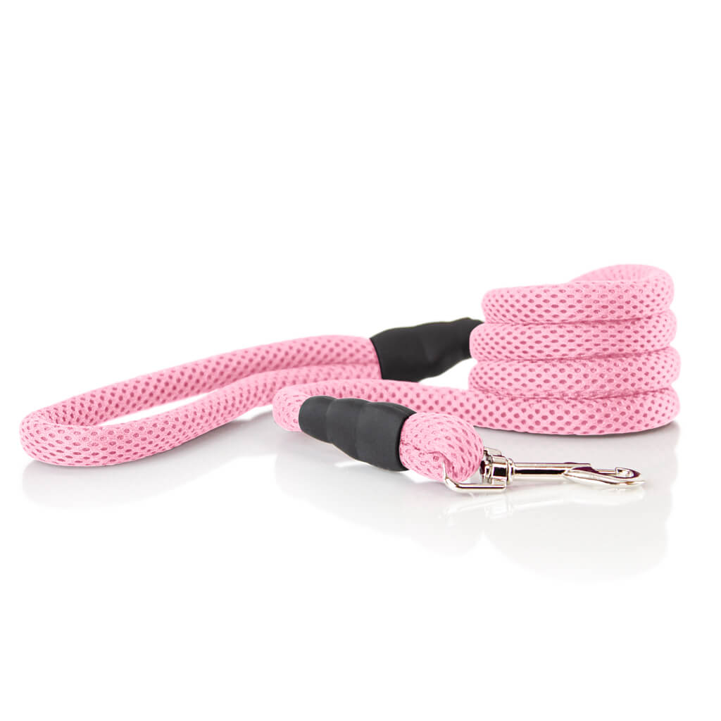 Soft Mesh Leash