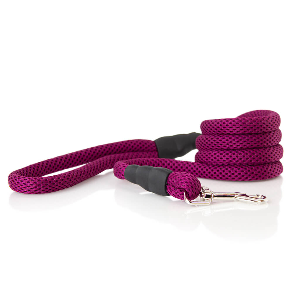 Soft Mesh Leash
