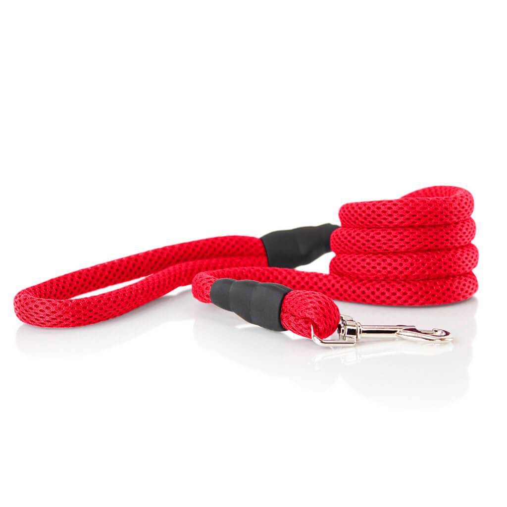Soft Mesh Leash