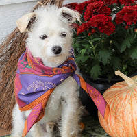 Basic Witch Bandana