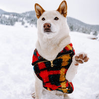 Alpine Sherpa Pet or Human Vest