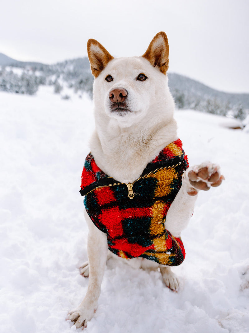 Alpine Sherpa Vest