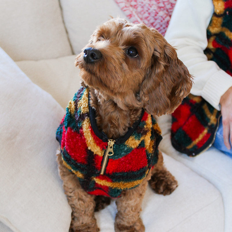 Alpine Sherpa Pet or Human Vest