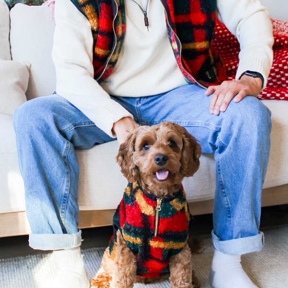Alpine Sherpa Pet or Human Vest