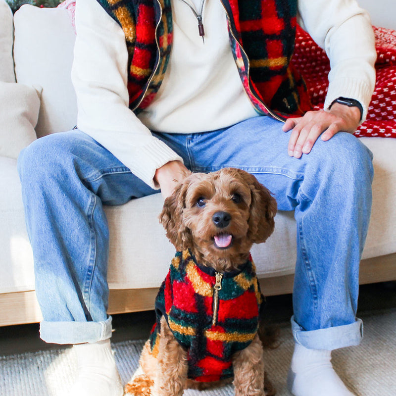 Alpine Sherpa Pet or Human Vest