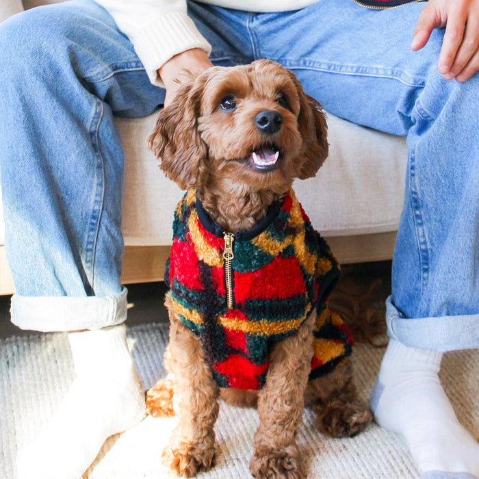 Alpine Sherpa Pet or Human Vest