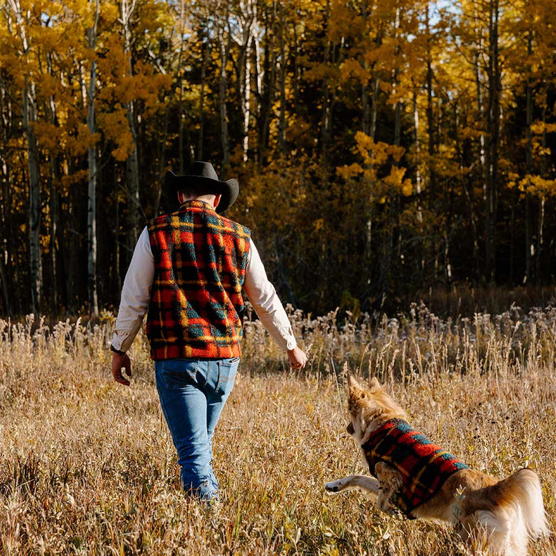 Alpine Sherpa Pet or Human Vest
