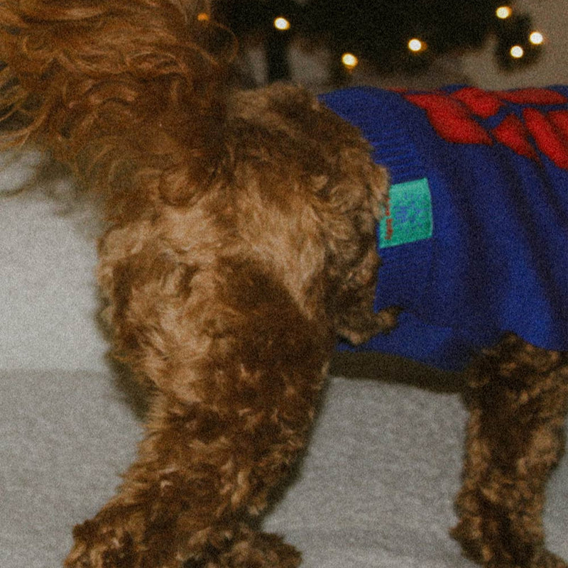 'Tis Slay Szn Pet Sweater