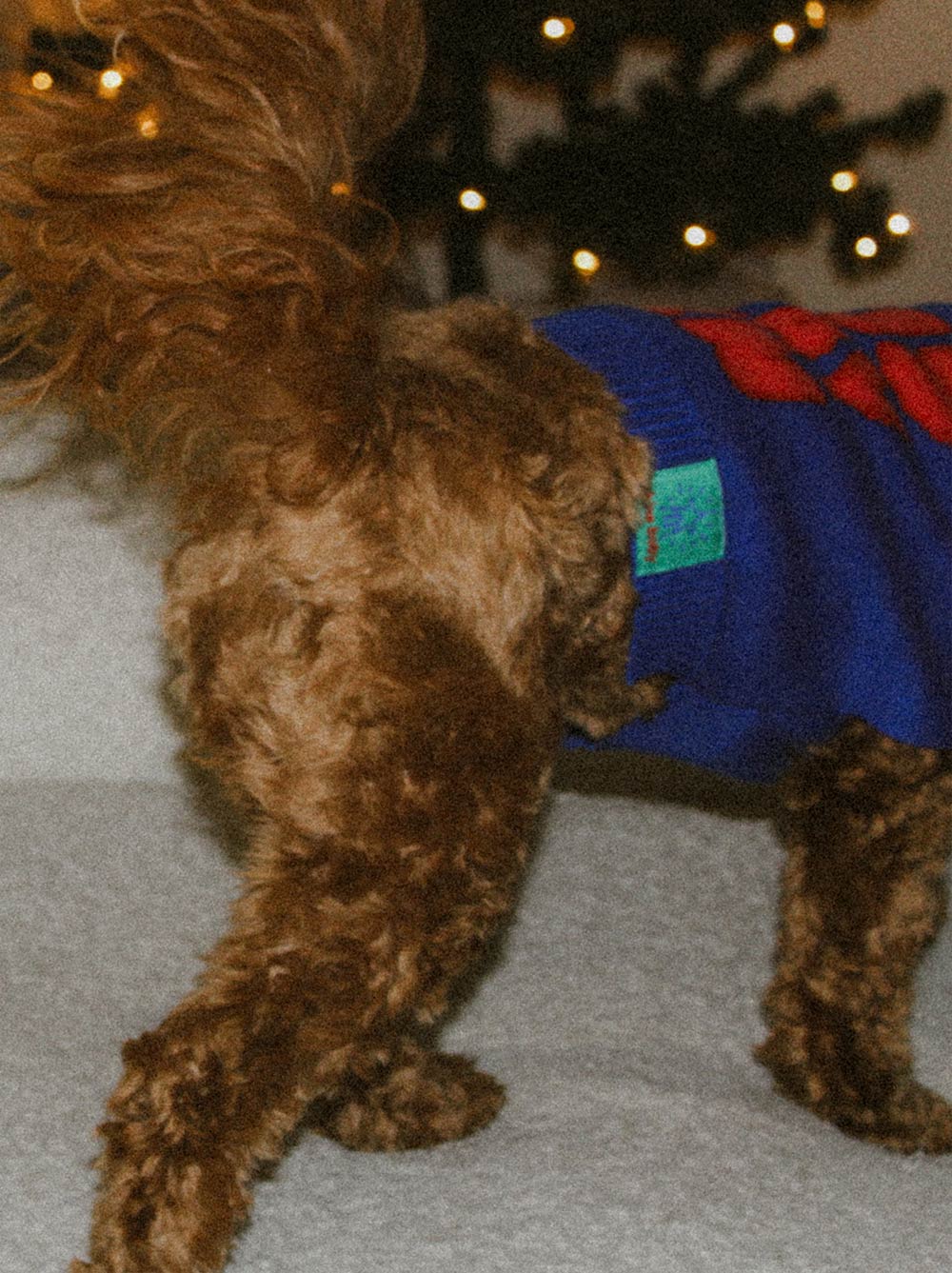 'Tis Slay Szn Sweater