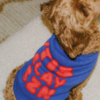 'Tis Slay Szn Pet Sweater