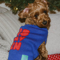 'Tis Slay Szn Pet Sweater