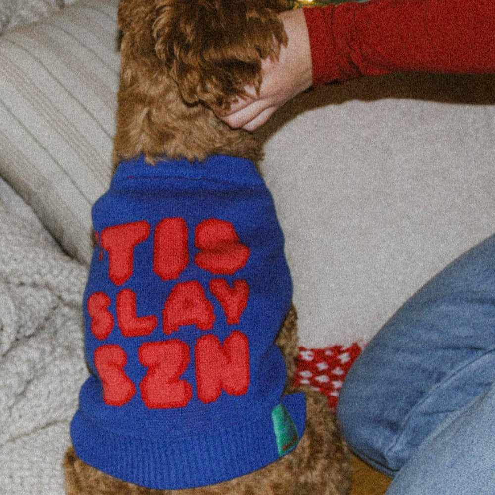 'Tis Slay Szn Pet Sweater