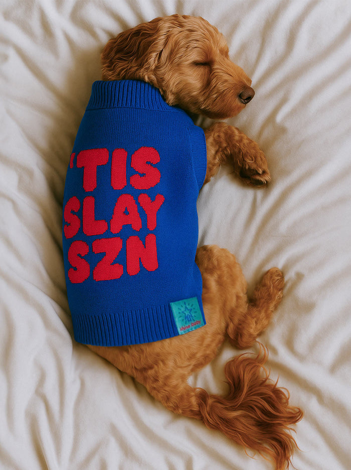 'Tis Slay Szn Sweater