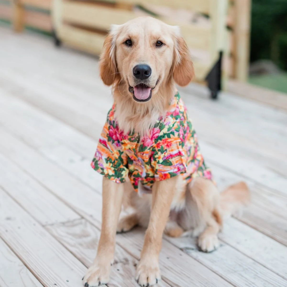 Sunset Hibiscus Hawaiian Camp Shirt
