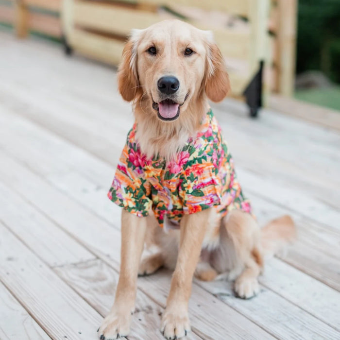 Sunset Hibiscus Hawaiian Camp Shirt