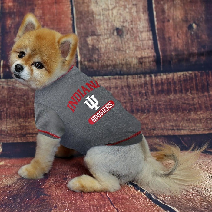 IN Hoosiers Athletics Tee Shirt