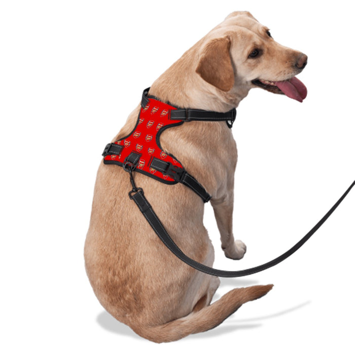 Arsenal FC 25/26 Home Kit-Inspired Pet Harness