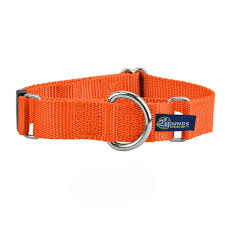 1.5″ Nylon Martingale Dog Collars (Multiple Color Options)