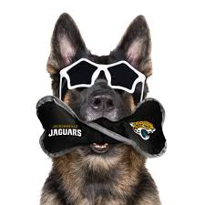 Jacksonville Jaguars Tug Bone