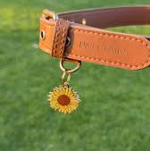 Sunflower Pet ID Tag