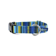 Clyde Buckle Martingale Dog Collar – EarthStyle