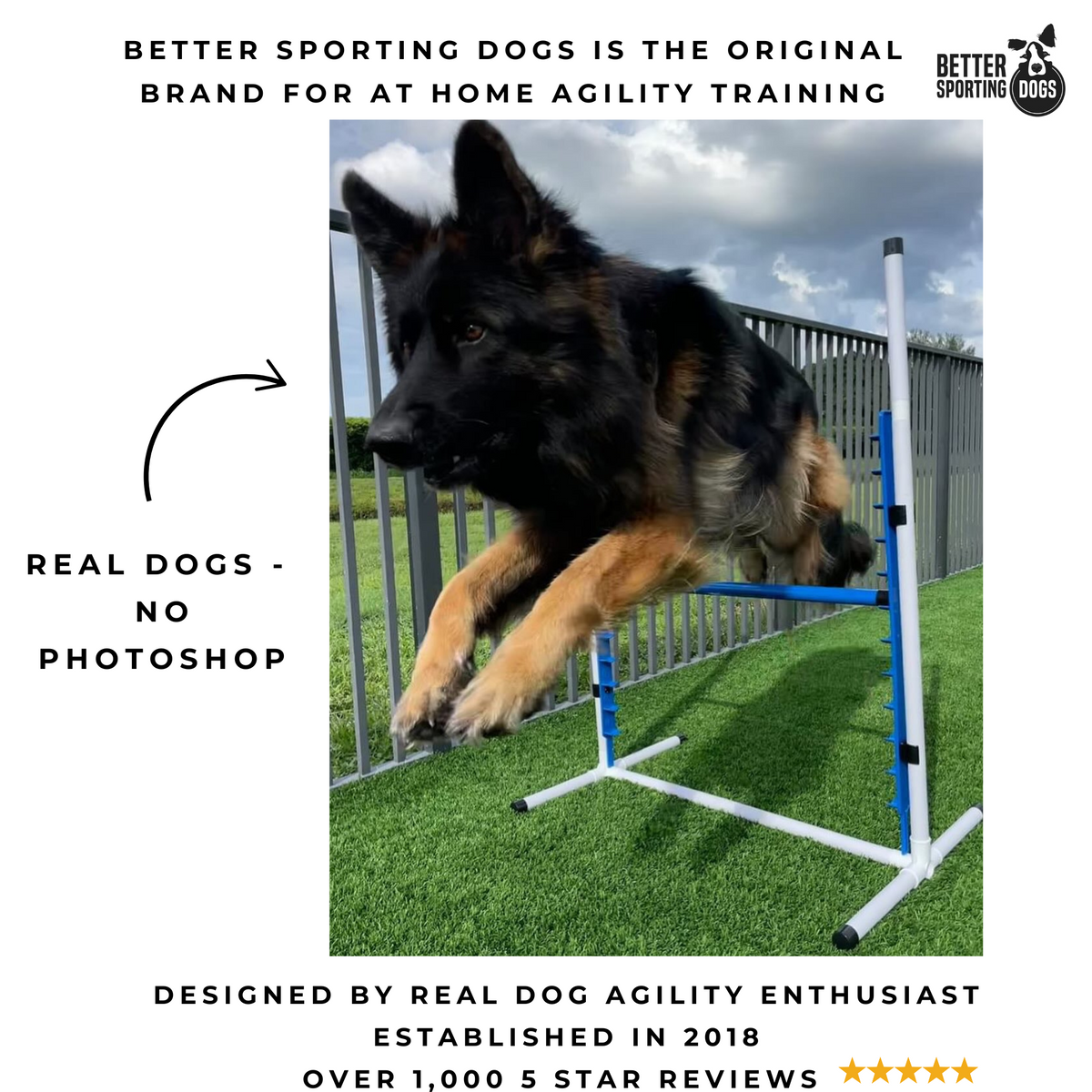 Better Sporting Dogs Adjustable Dog Agility Bar Jumps & Tire Jumps