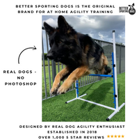 Better Sporting Dogs Adjustable Dog Agility Bar Jumps & Tire Jumps