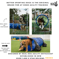 Better Sporting Dogs Upgraded Dog Agility Set – 7 Piece Training Kit with Safety Breakaway Tire Jump, Displacement Bar Jumps, Tunnels, Weave Poles & Pause Box