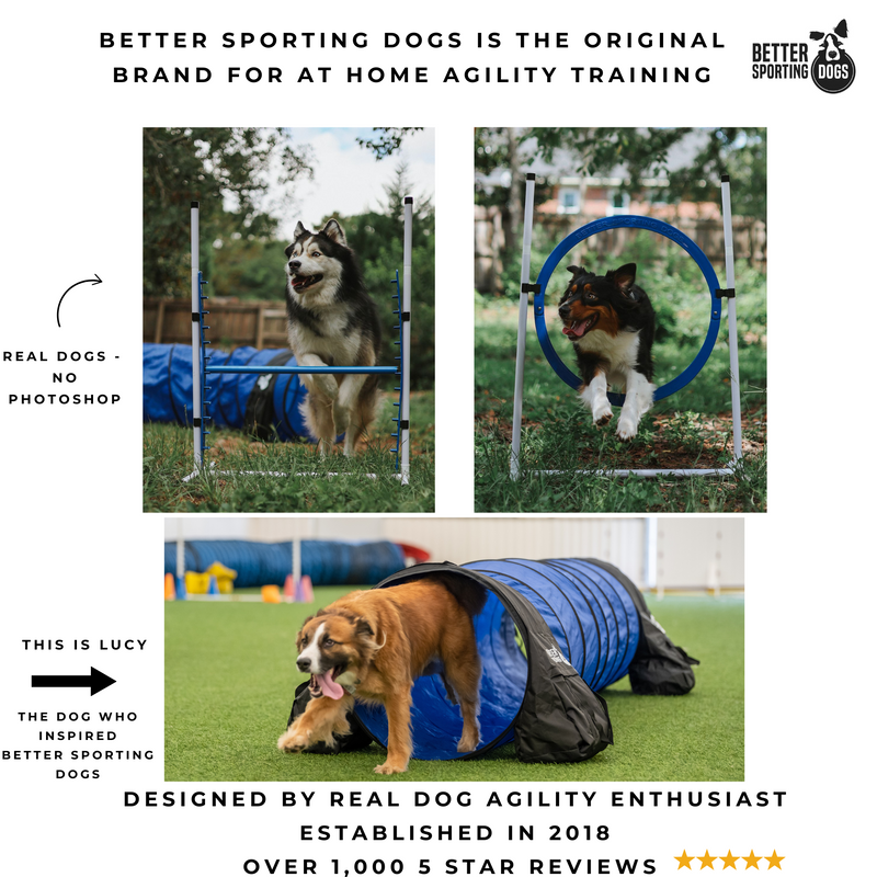 Better Sporting Dogs Upgraded Dog Agility Set – 7 Piece Training Kit with Safety Breakaway Tire Jump, Displacement Bar Jumps, Tunnels, Weave Poles & Pause Box