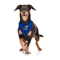 KS Jayhawks Tie-On Bandana