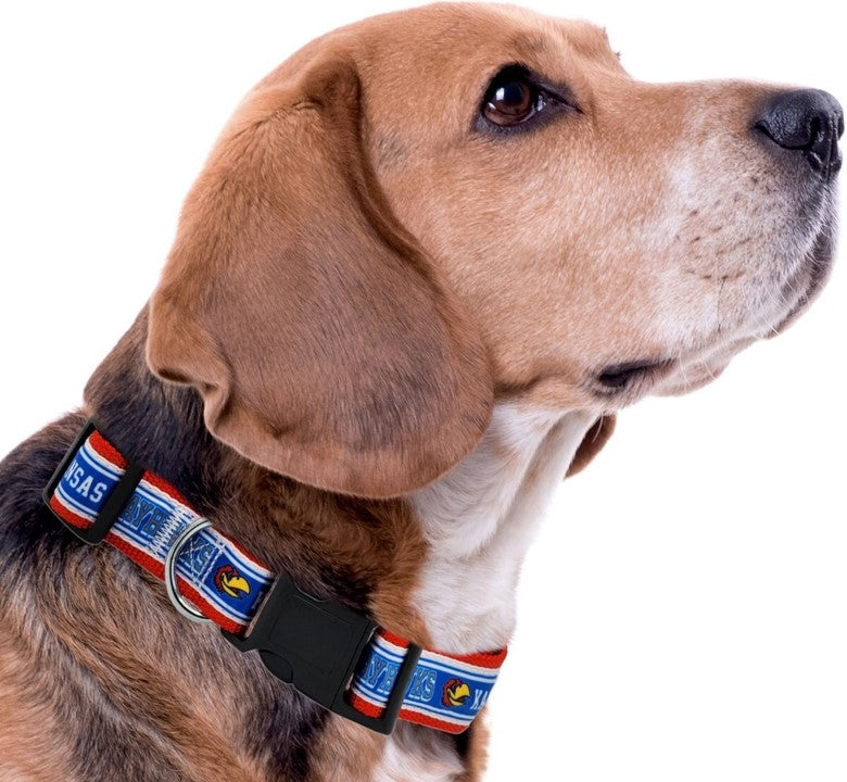 KS Jayhawks Dog Satin Collar or Leash