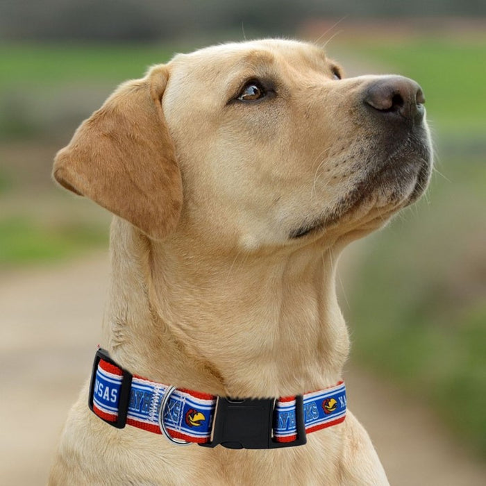 KS Jayhawks Dog Satin Collar or Leash