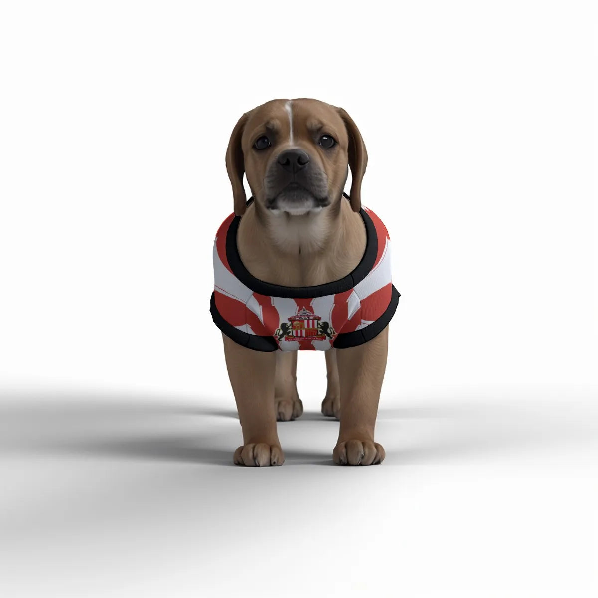 Sunderland AFC 25/26 Home Kit Inspired Personalized Tank